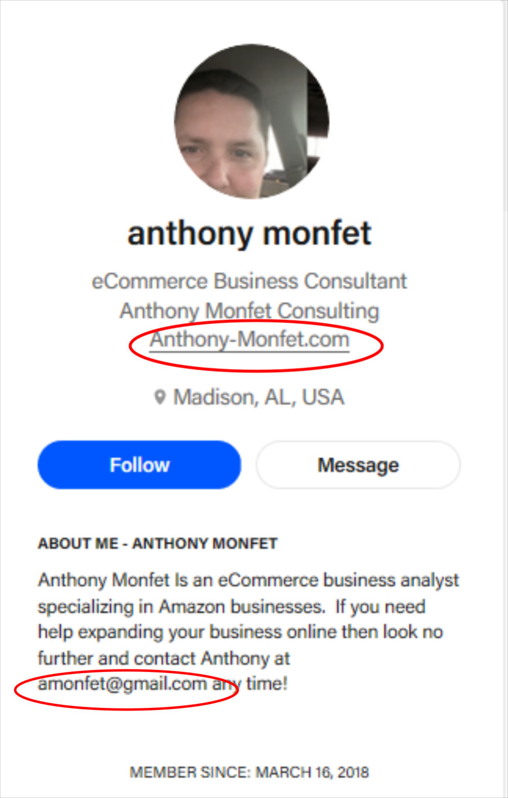 Anthony Monfet is presented as an eCommerce business consultant on behance.net